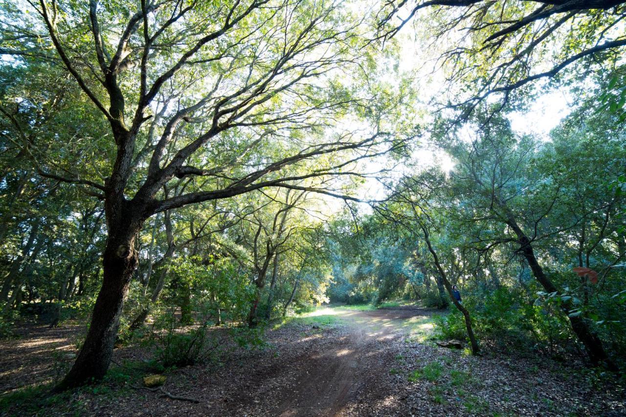 Tenuta Monacelli Lecce Zewnętrze zdjęcie