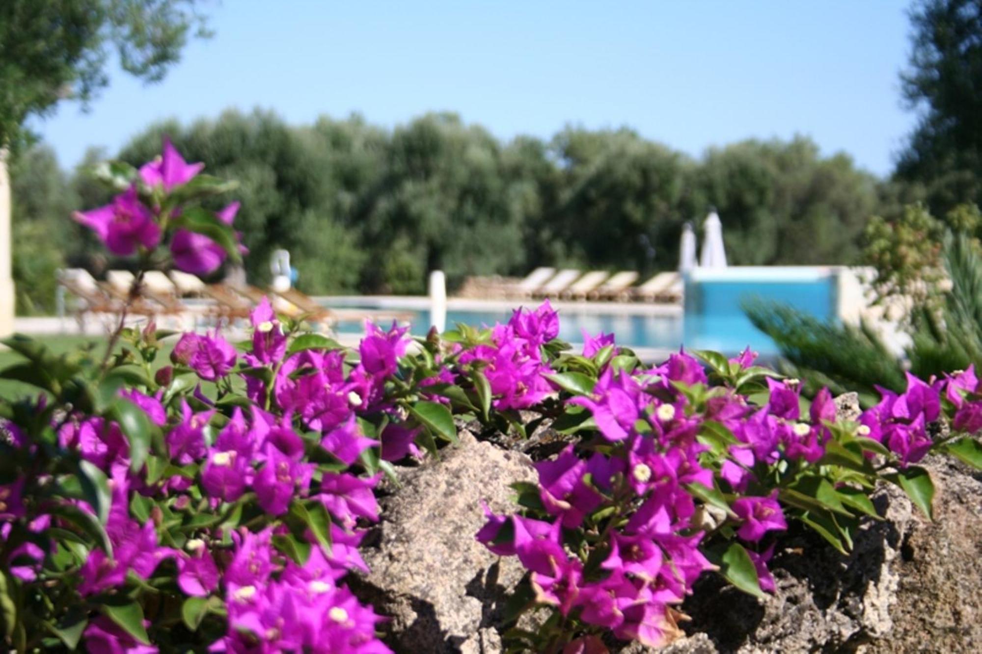Tenuta Monacelli Lecce Zewnętrze zdjęcie