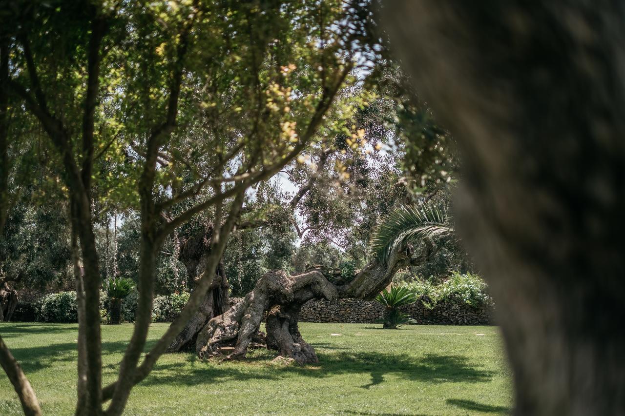 Tenuta Monacelli Lecce Zewnętrze zdjęcie